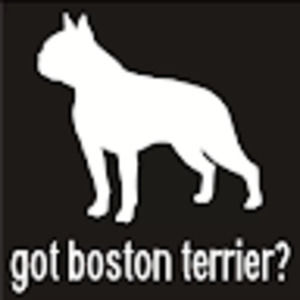 Meet your Posher, Marshall